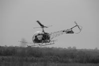 F-GDPO - camargue - by Louis Lesage