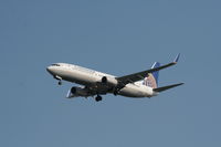 N33286 @ TPA - Continental - by Florida Metal