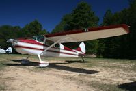 N3184B @ SC00 - Taken at the 1st Annual Triple Tree Fly-In