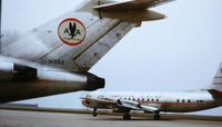 N1984 - old slide, first in buf 3-1965 - by tavegas