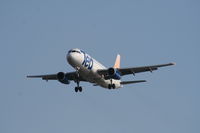 N439UA @ TPA - Ted - by Florida Metal
