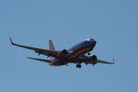 N483WN @ TPA - Southwest - by Florida Metal