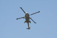 ZD251 photo, click to enlarge