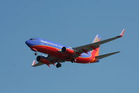 N790SW @ TPA - Southwest - by Florida Metal