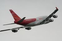 B-LFC photo, click to enlarge
