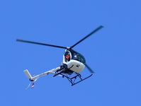 N16735 - Panasonic Lumix FZ30 900mm f/4.5 at 1/640 sec - by Jim Thompson