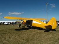 N77661 @ KOSH - Always like to see a Fairchild 24 up at Oshkosh and a fine example this one is.  This one has won many awards and I must say it is very deserving.