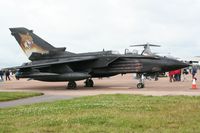 MM7005 photo, click to enlarge