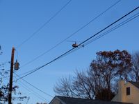 N225JM - Above House - by Dtc
