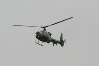 XX447 photo, click to enlarge
