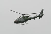 XX447 photo, click to enlarge
