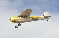 N195LB photo, click to enlarge
