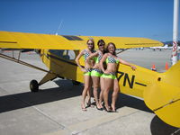 N3647N - lucky cub - by unknown