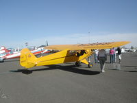 N98667 @ CGZ - photo taken at the 2006 Cactus AAA Fly-in in Casa Grande, AZ - by BTBFlyboy