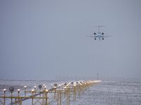 OE-LVB @ LOWW - Austrian Arrows