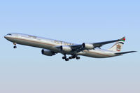 A6-EHE photo, click to enlarge