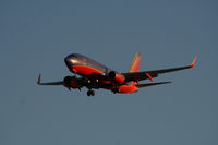 N793SA @ TPA - Southwest - by Florida Metal