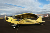 N98471 @ 4SD - 1946 Piper J3C-65 @ Reno-Stead - by Steve Nation