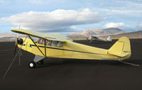 N98471 @ 4SD - 1946 Piper J3C-65 @ Reno-Stead - by Steve Nation
