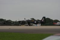 ZF240 photo, click to enlarge