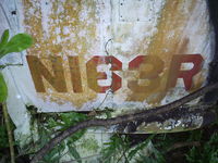 N163R @ PLPA - Tail numbers from the plane on Palmyra - by Michael E. Murray