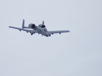 80-0168 @ KLSV - United States - US Air Force (USAF) / 1980 Fairchild A-10A Thunderbolt II - by Brad Campbell