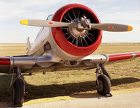 N3689F @ MAF - Taken at Odessa/Midland 1990 CAF Airshow - by Darrell Crosby
