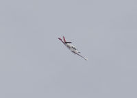 N2295A - Flying a circle over Columbine High School. - by Bluedharma