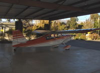 N50380 @ SZP - 1979 Bellanca 7ECA CITABRIA, Lycoming O-235 115 Hp - by Doug Robertson