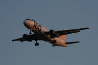 N469UA @ TPA - Ted - by Florida Metal