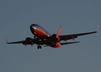 N484WN @ TPA - Southwest - by Florida Metal