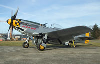 D-FBUN @ QFB - North American P-51D Mustang - by J. Thoma