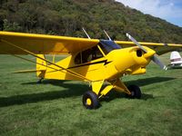 N4431Z @ 64I - Lee Bottom Fly-in 2006 - by Wil Goering