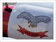 N254SF @ KAPA - Nose Art Sea Hawk - by Bluedharma