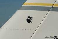 F-GGIR @ LFQG - Socata TB9 - by Marie-ThÃ©rÃ¨se Halleguen