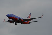N204WN @ TPA - Southwest - by Florida Metal