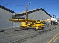 N77874 @ SZP - 1946 Luscombe 8A, Continental C85 85Hp - by Doug Robertson