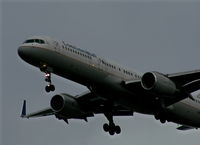 N19117 @ TPA - Continental - by Florida Metal