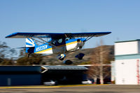N5035N @ SZP - 1978 Bellanca