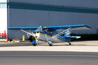 N5035N @ SZP - 1978 Bellanca