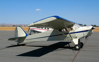 N44028 @ PRB - 1946 Taylorcraft BC12-D @ Paso Robles Municipal Airport, CA - by Steve Nation