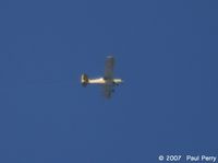 N31253 @ NTU - Hard to see, she's a bit up there