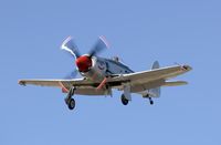 N254SF photo, click to enlarge
