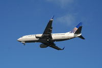N17345 @ TPA - Continental - by Florida Metal