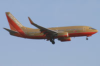 N780SW photo, click to enlarge
