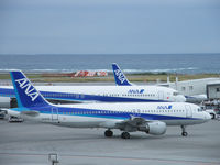 JA202A @ ROAH - Airbus A320-211/ANA/NAHA