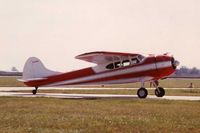 N4486C @ DPA - A very nice Cessna 195
