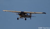 N2491M - Can it be?  The Elusive River Rat?