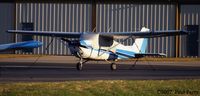 N8145X @ ONX - Too blue? Not true!