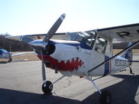 N305SN @ 2B2 - Preflight includes brushing teeth... - by Andreas Mershin